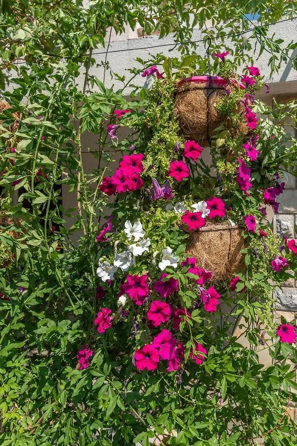 Apartments Vojin Trogir Croatia